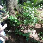 phoca_thumb_m_vp- 4. den  130 Fotogalerie